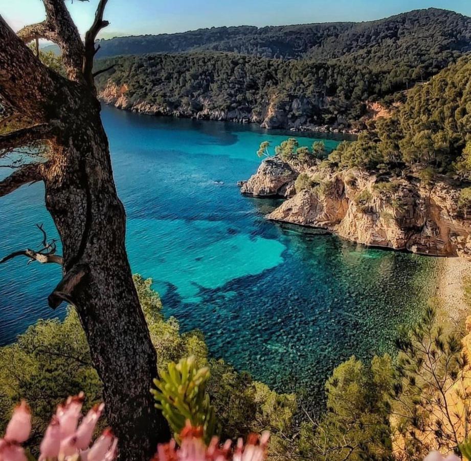 Logement Vue Mer Splendide - Situe A 50 Metres Du Bord De Mer Et 2 Minutes Des Plages - Bandolina Екстер'єр фото