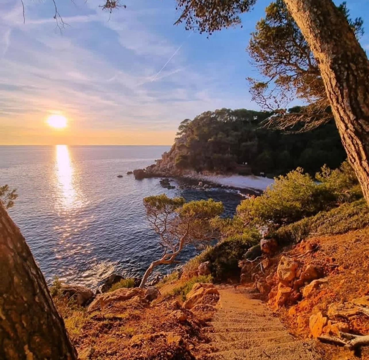 Logement Vue Mer Splendide - Situe A 50 Metres Du Bord De Mer Et 2 Minutes Des Plages - Bandolina Екстер'єр фото