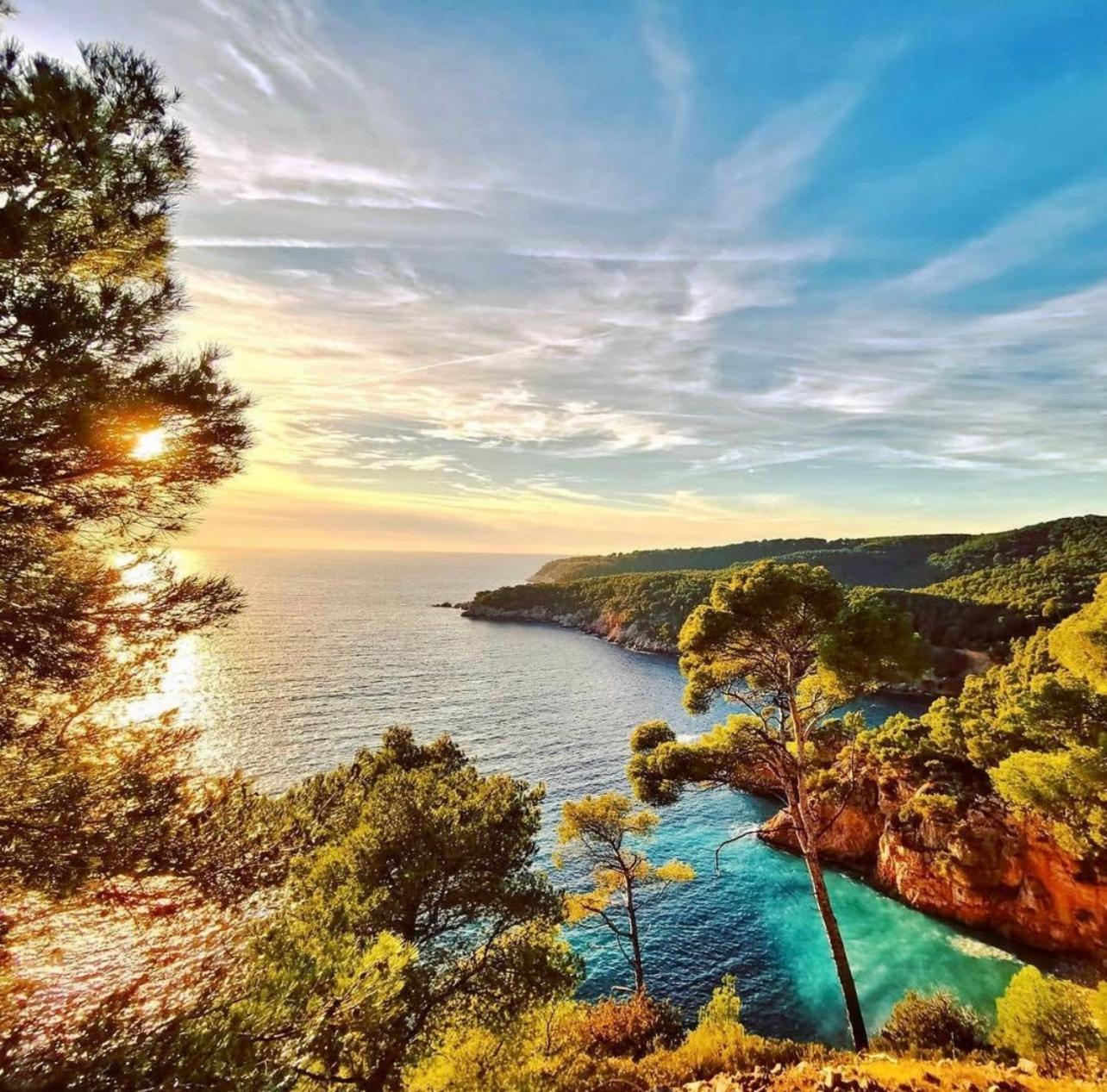 Logement Vue Mer Splendide - Situe A 50 Metres Du Bord De Mer Et 2 Minutes Des Plages - Bandolina Екстер'єр фото
