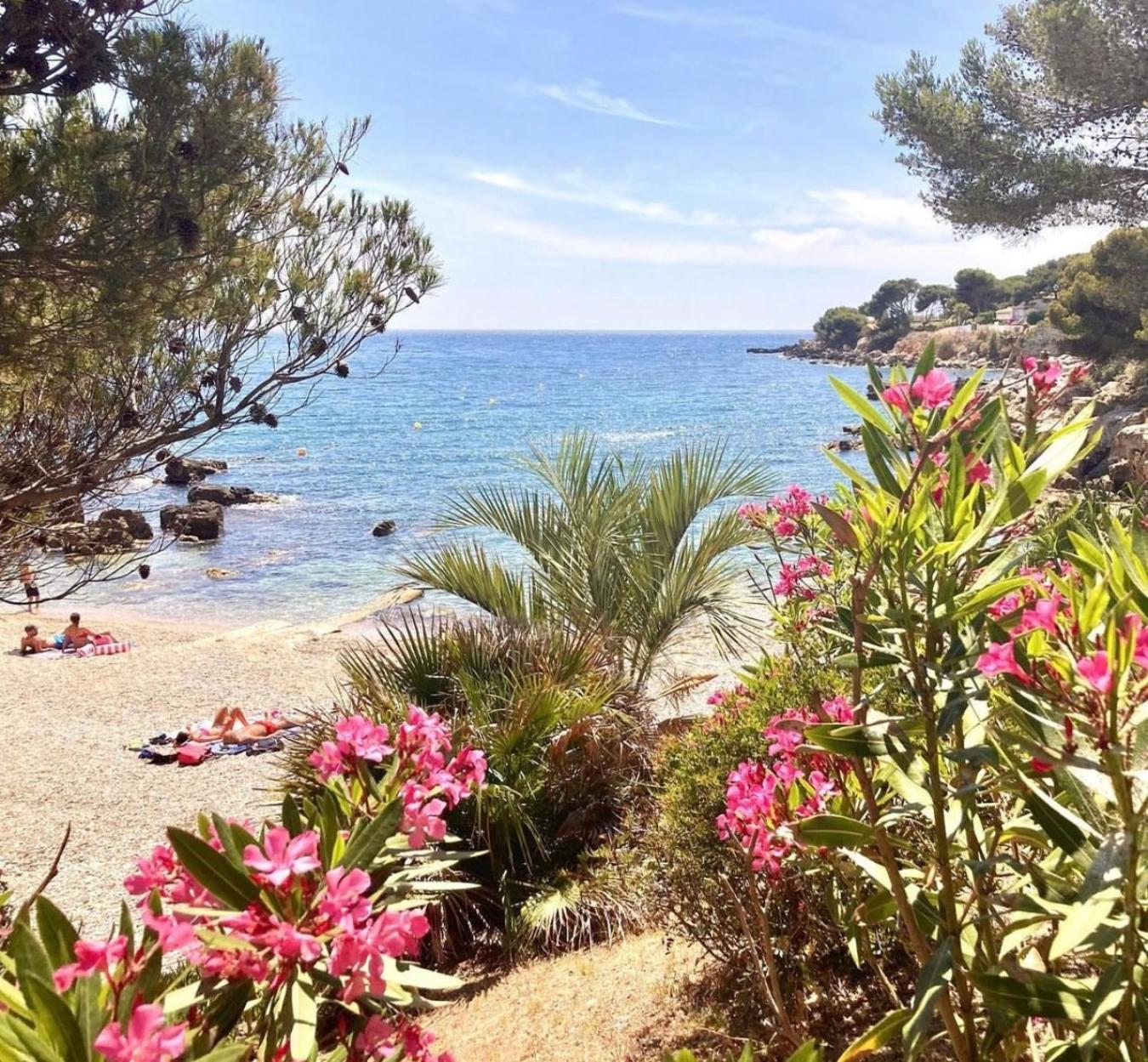 Logement Vue Mer Splendide - Situe A 50 Metres Du Bord De Mer Et 2 Minutes Des Plages - Bandolina Екстер'єр фото